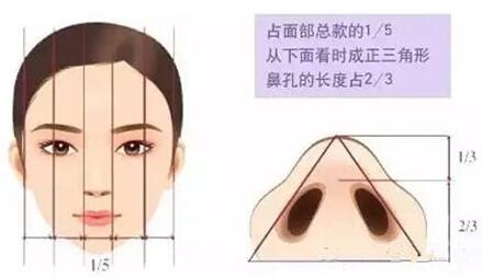 自体组织隆鼻手术的材料怎么选?一文让你了解!